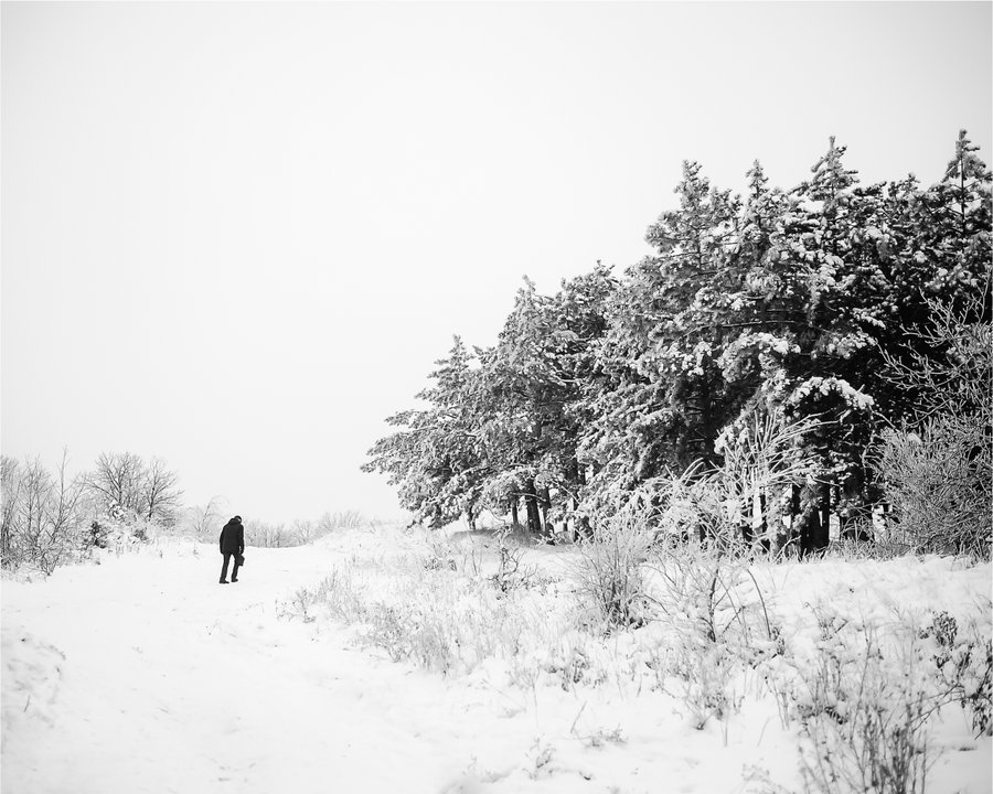 DMinenco's tweet photo. @ArtvisionNFT @KryptaKitty @BonsaiFox1 @Morduk5 @OdysseyHeart 🤍“Winter Walking” 

10/10
3 tez on @objkt

Tagging: @micca_art @Abbas_rahmani63 @CaseyBroda https://t.co/JgubQ5ZvIV