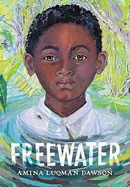 ACLBayViews's tweet photo. If you enjoyed Freewater by Amina Luqman-Dawson...
https://t.co/X92moZneEo https://t.co/rYQZwg60tN