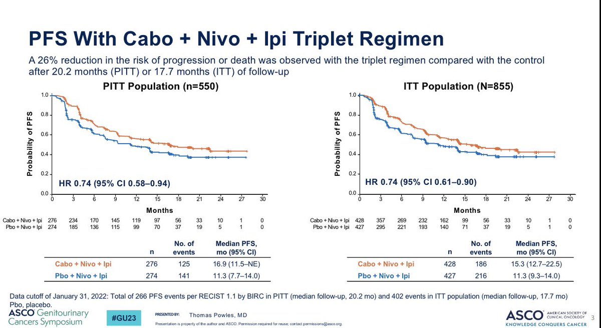 Tom Powles tweet media