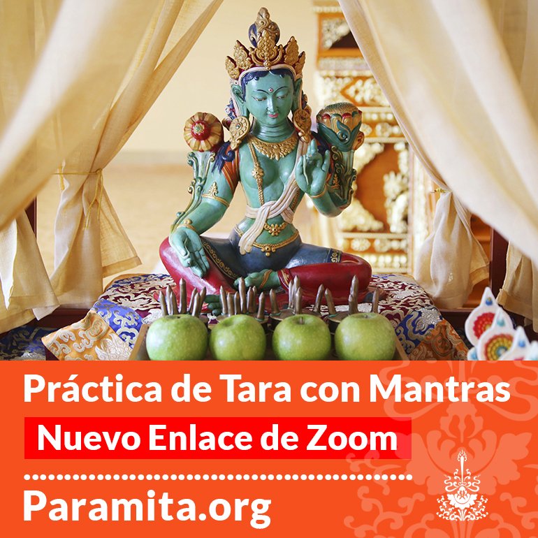 Nueva cuenta de Zoom para la práctica de Tara con Mantras  que realizamos cada domingo.
10:00 am (España)
06:00 am (Argentina, Chile, Uruguay)
05:00 am (Bolivia, Venezuela)
04:00 am (Perú, Colombia, Ecuador)
03:00 am (México D.F., Costa Rica, EEUU)
+ Info paramita.org/medita-con-nos…