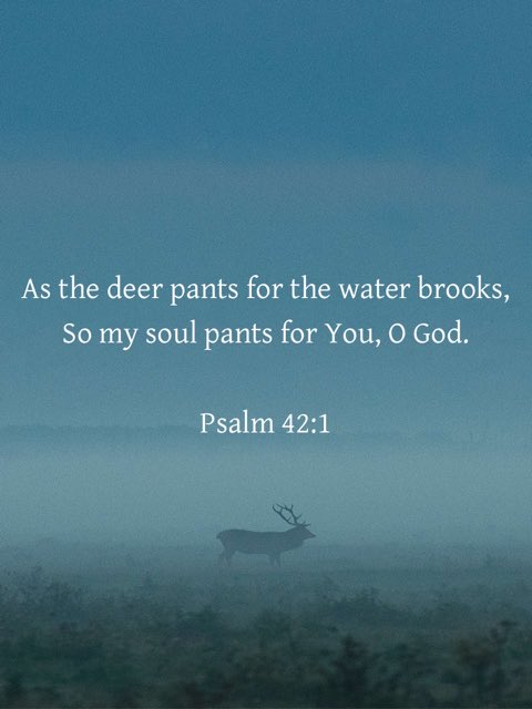 EdwinaKiernanHQ's tweet image. “As the deer pants for the water brooks, So my soul pants for You, O God.” — Psalm 42:1  #SaturdayScripture