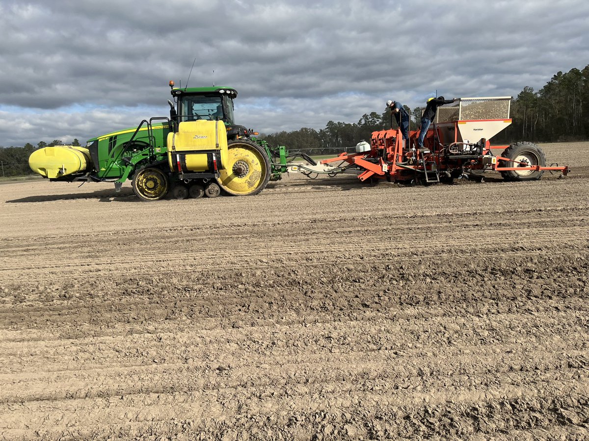 Varshitha_P1's tweet photo. It is planned to conduct a potato trial at NFREC- Suwannee Valley, in Live Oak with the objective of quantifying the interaction between irrigation and nitrogen treatment. Glimpses of Potato planting are shown below. Our sincere thanks to Black Gold Farms for assistance https://t.co/rfZuGSldhW