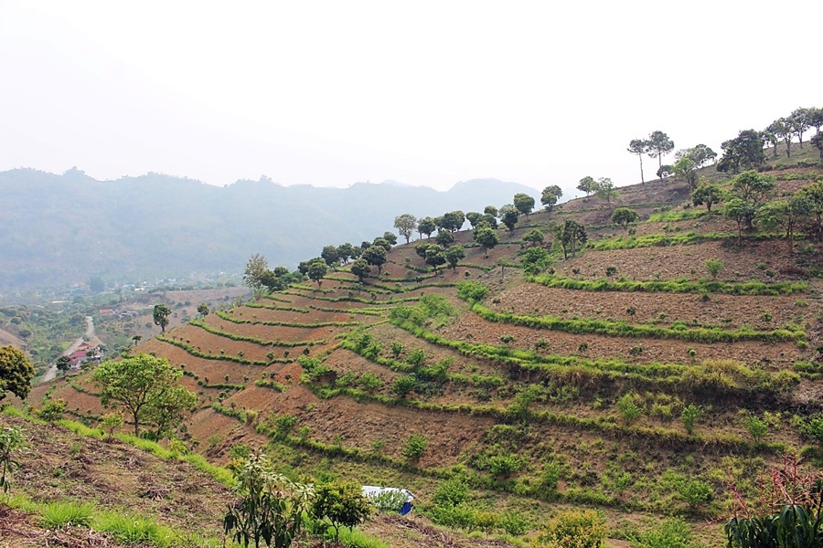 CIFOR-ICRAF tweet media