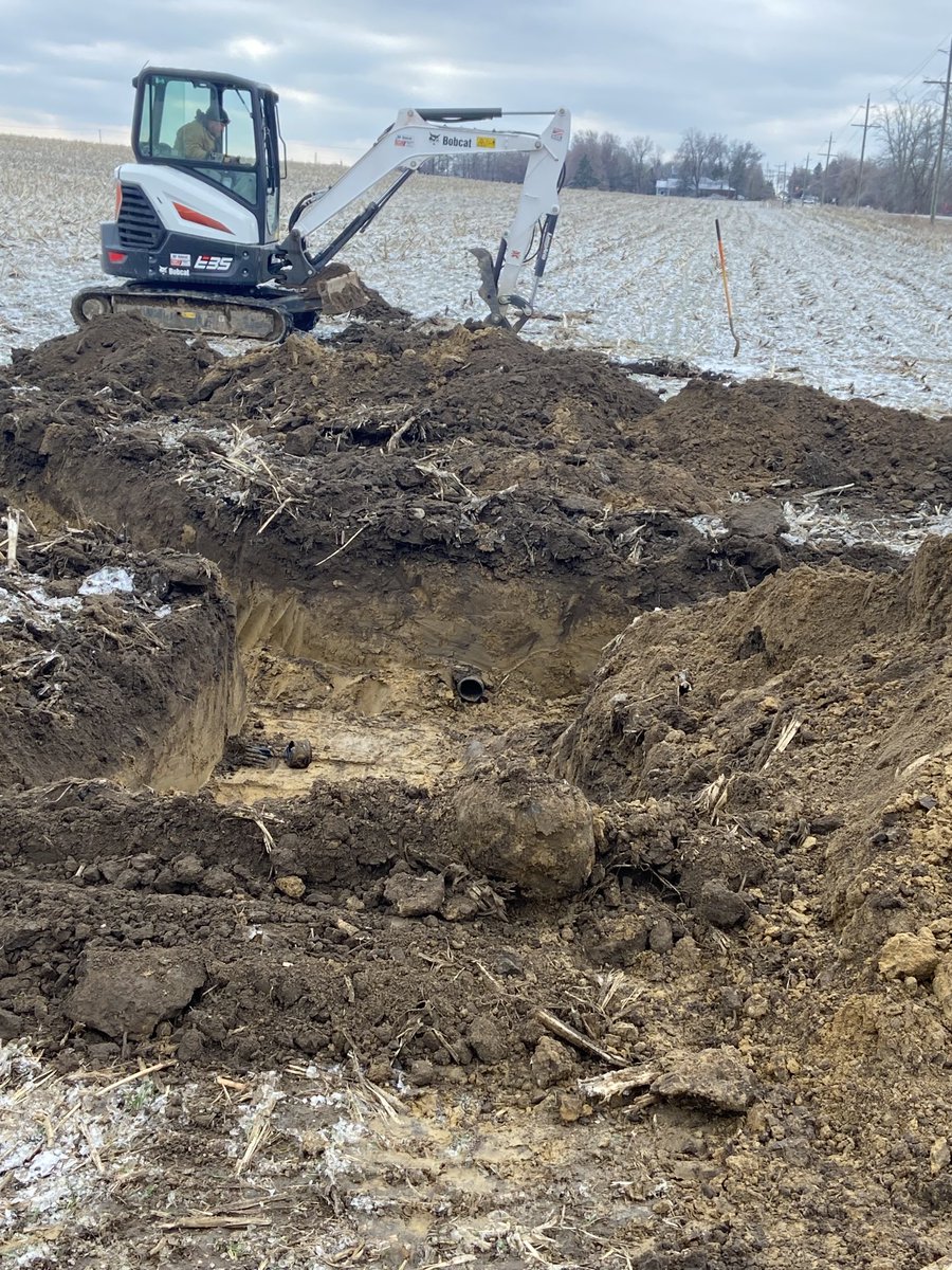 michael sharpe tweet media