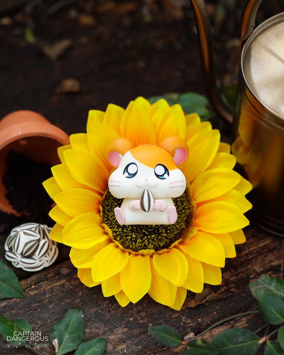 CaptDangerous64's tweet image. Sunflower Saturday 🌻 #hamtaro #nendoroid 

instagram.com/captaindangero…