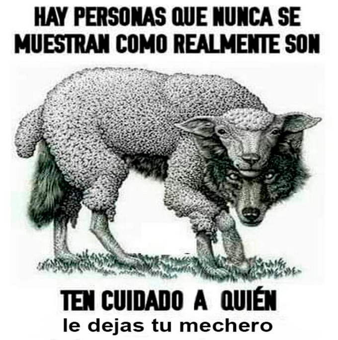 somier_es's tweet photo. cuidado https://t.co/eHqAoxw5ca