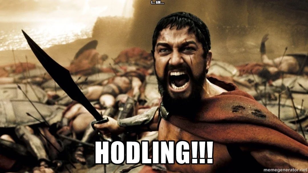 HODL tweet media