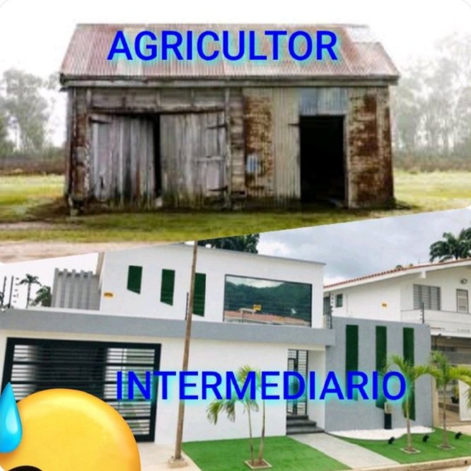 VamosPVN's tweet photo. "Esto en República Dominicana tiene que cambiar. Visitaremos los Agricultores a Nivel Nacional para conocer sus necesidades. La juventud del campo no quiere trabajar en el campo y eso es un grave problema, porque son extranjeros los que ocupan esas plazas", #ElHombreDelPueblo https://t.co/yG4oZQzqSt