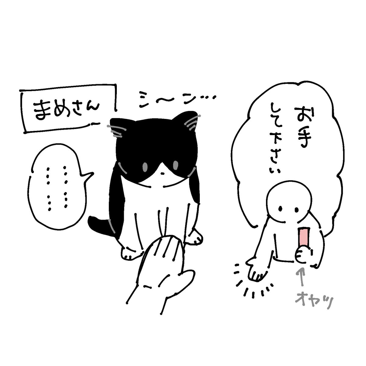 最近のろんさんとチビとまめさん
お手するかどうかは三猫三様 個性があってよい 