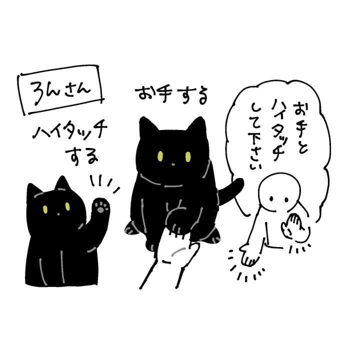 最近のろんさんとチビとまめさん
お手するかどうかは三猫三様 個性があってよい 