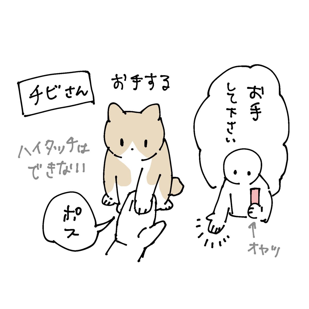 最近のろんさんとチビとまめさん
お手するかどうかは三猫三様 個性があってよい 