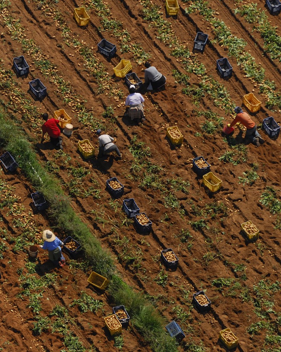 costanavarino's tweet photo. At Costa Navarino, more than 60 percent of the raw ingredients used in the kitchens come from local producers, including Costa Navarino’s own organic herb and vegetable gardens.

#CostaNavarino #BePartOfOurStory https://t.co/6Cj5gUj3Rm