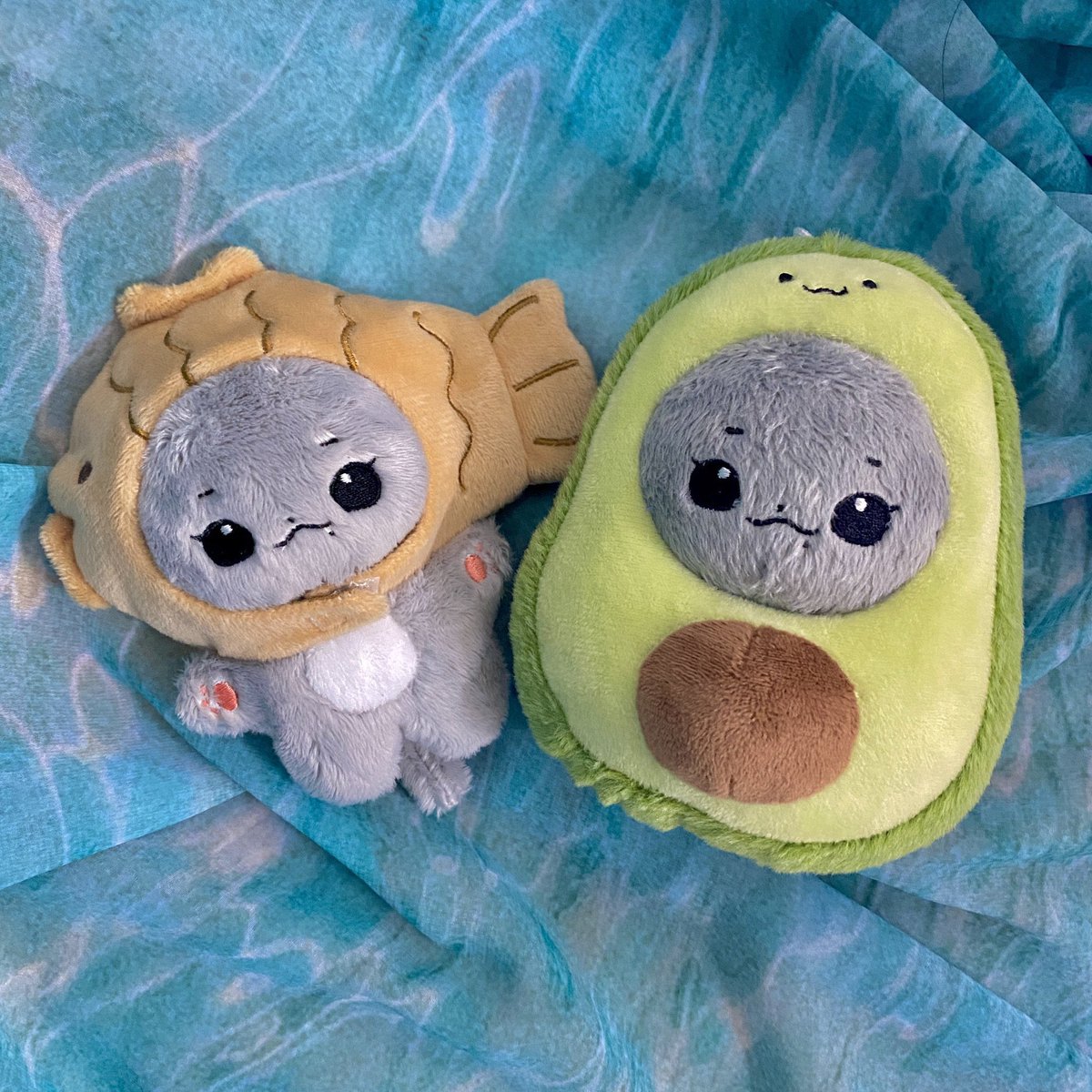 칼냥이 🐱 배송준비중 tweet media