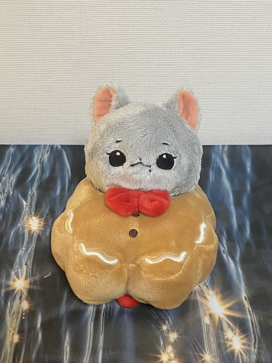 칼냥이 🐱 배송준비중 tweet media
