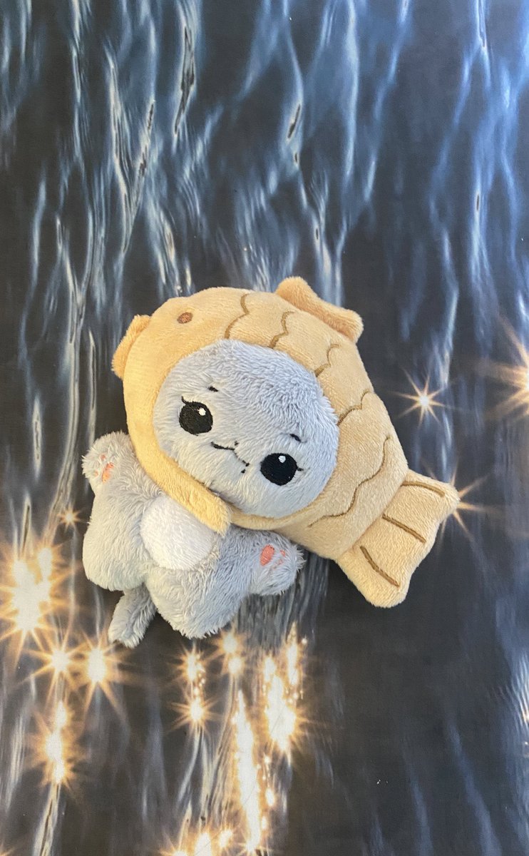칼냥이 🐱 배송준비중 tweet media