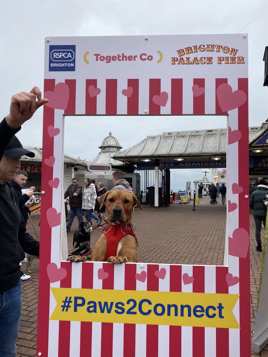 Our final thank you of the week goes to all of you! 

To everyone who came to our event, chatted to us to find our more about the exciting #Paws2Connect Pilot, our work at Together Co, took part in our selfie frame competition and signed up to volunteer. Looking forward to more🤩
