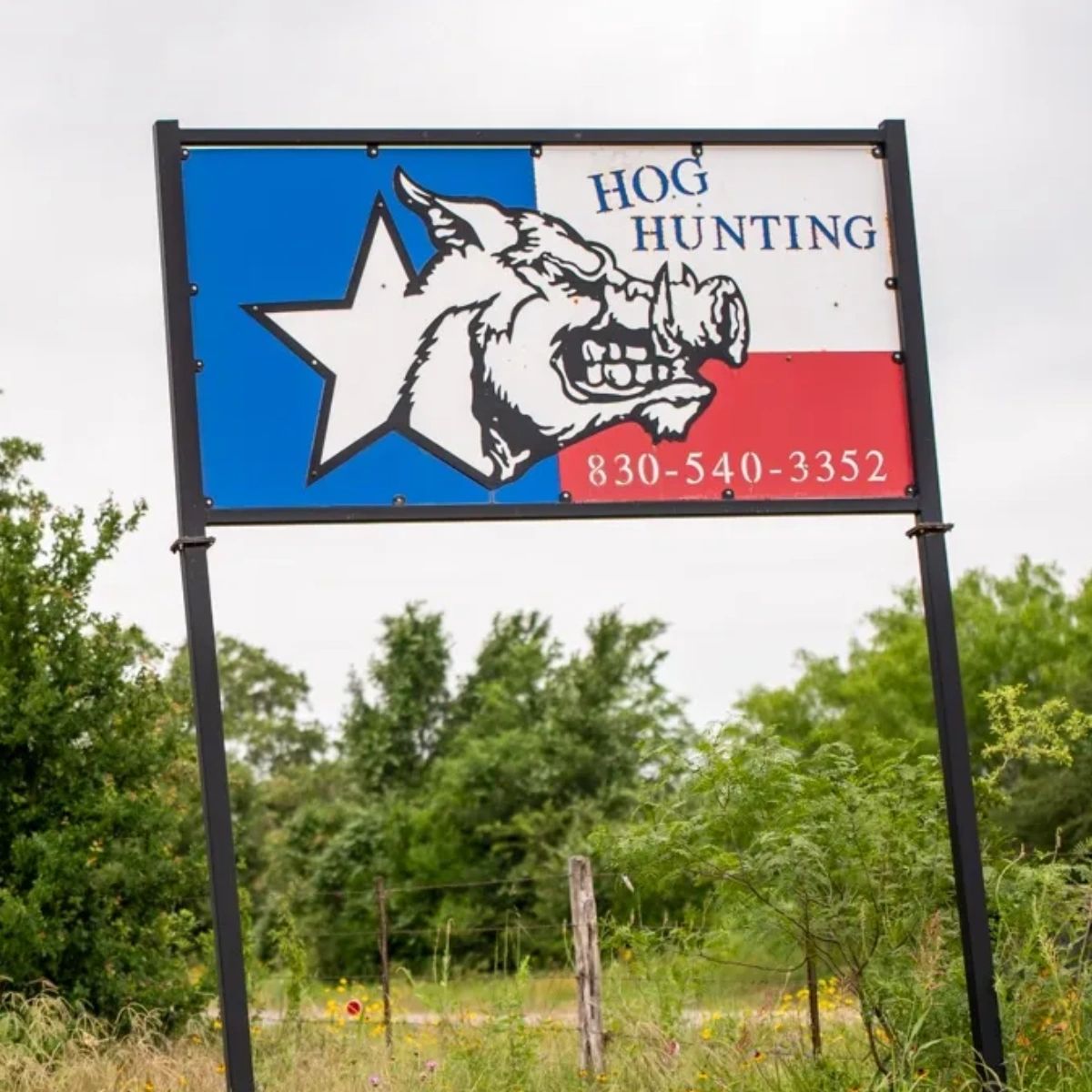 TexasHuntRanch's tweet photo. Did you know that you can contact us directly and set up your next hunting excursion by visiting our website? You sure can. #IndependenceRanch #AxisDeer #FallowDeer #RedStag #ATXHunters https://t.co/JcrLfMKYSW