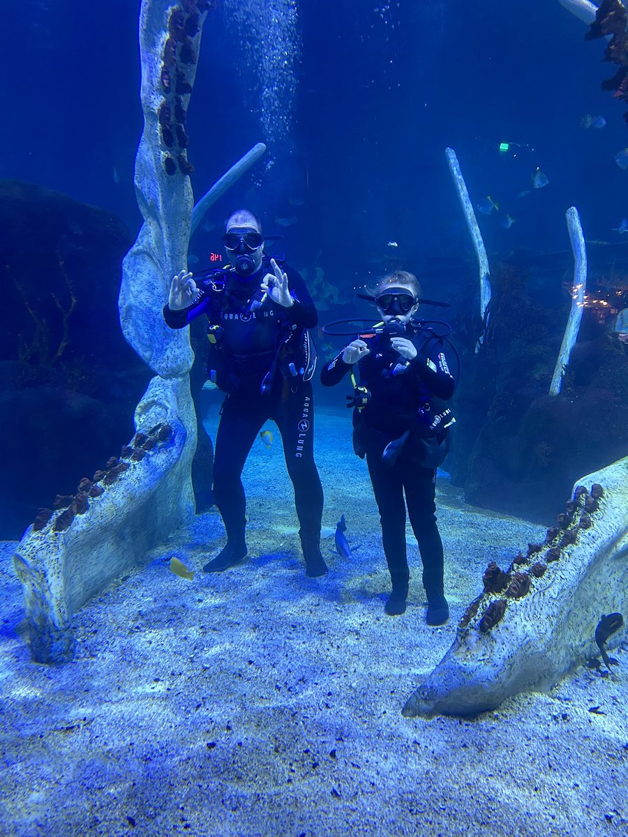 Shark dive @theBGAdventure. Although uncle Earl may now want to go try this with bigger sharks !!🦈🦈