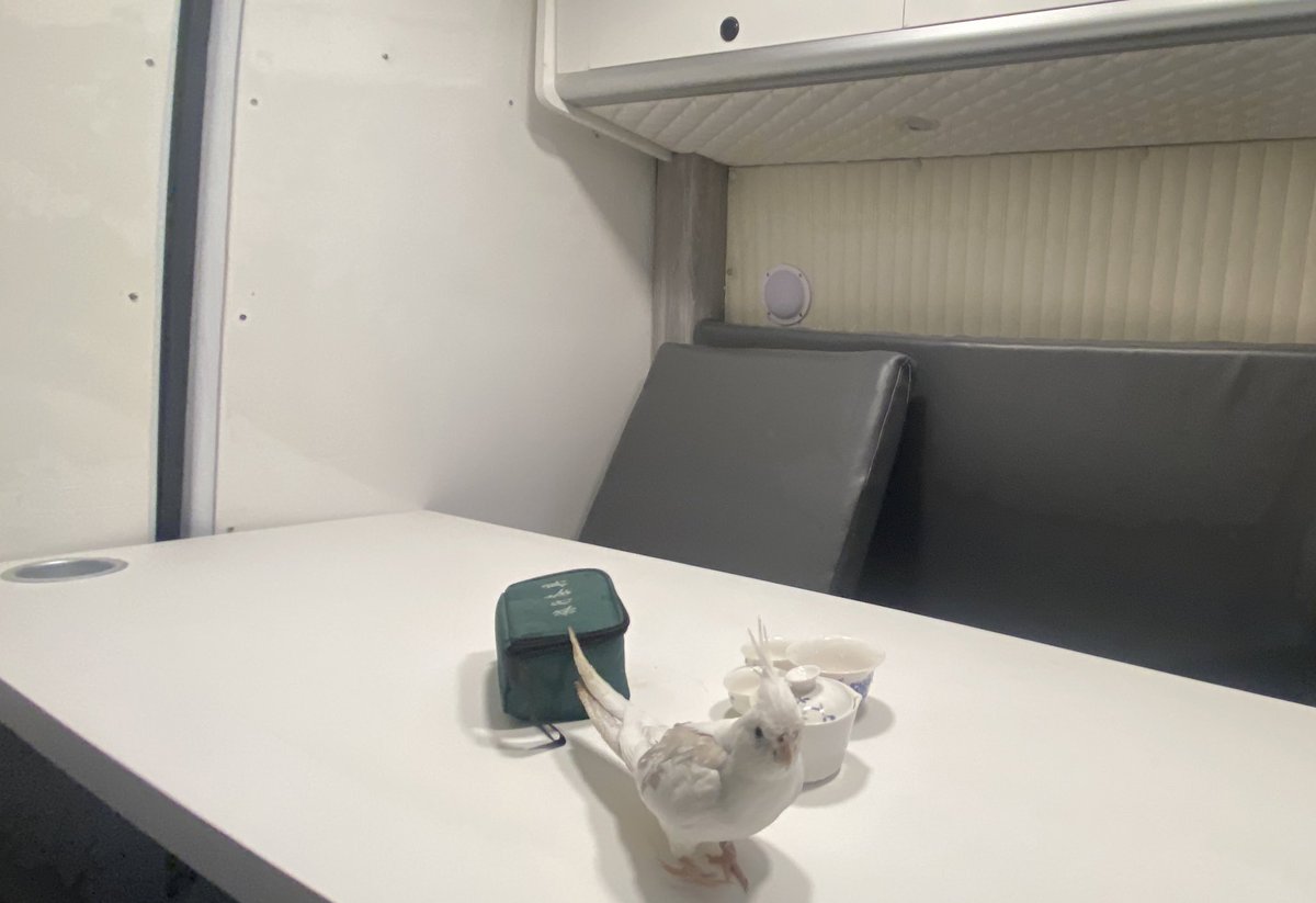 ArtistHanmo's tweet image. 历时半年，我用自己的双手，把一辆Benz Sprinter Van打造成了精装全功能房车，可进房车营地亦可随处露营，今首游驻车海滩😀。
观落日晚霞，宿渔人码头，枕山海入梦，听涛声而眠。

十点入睡，一夜无梦。凌晨四点起床，去买刚打捞上岸的海鲜，已经有十几个更疯狂的吃货在排队了😂