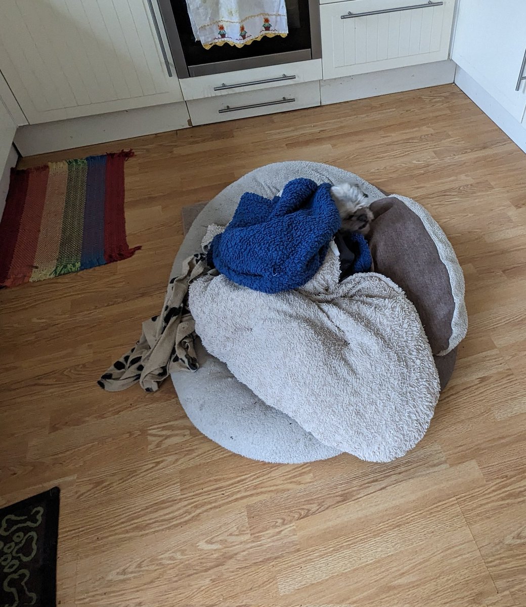 tweetlikeatwit's tweet photo. This #DoggoClock is an eye-spy
Once you've found the boy, make sure to go support @Mermaids_Gender at https://t.co/L2UUL0tfMB https://t.co/TkW5BNK9xE