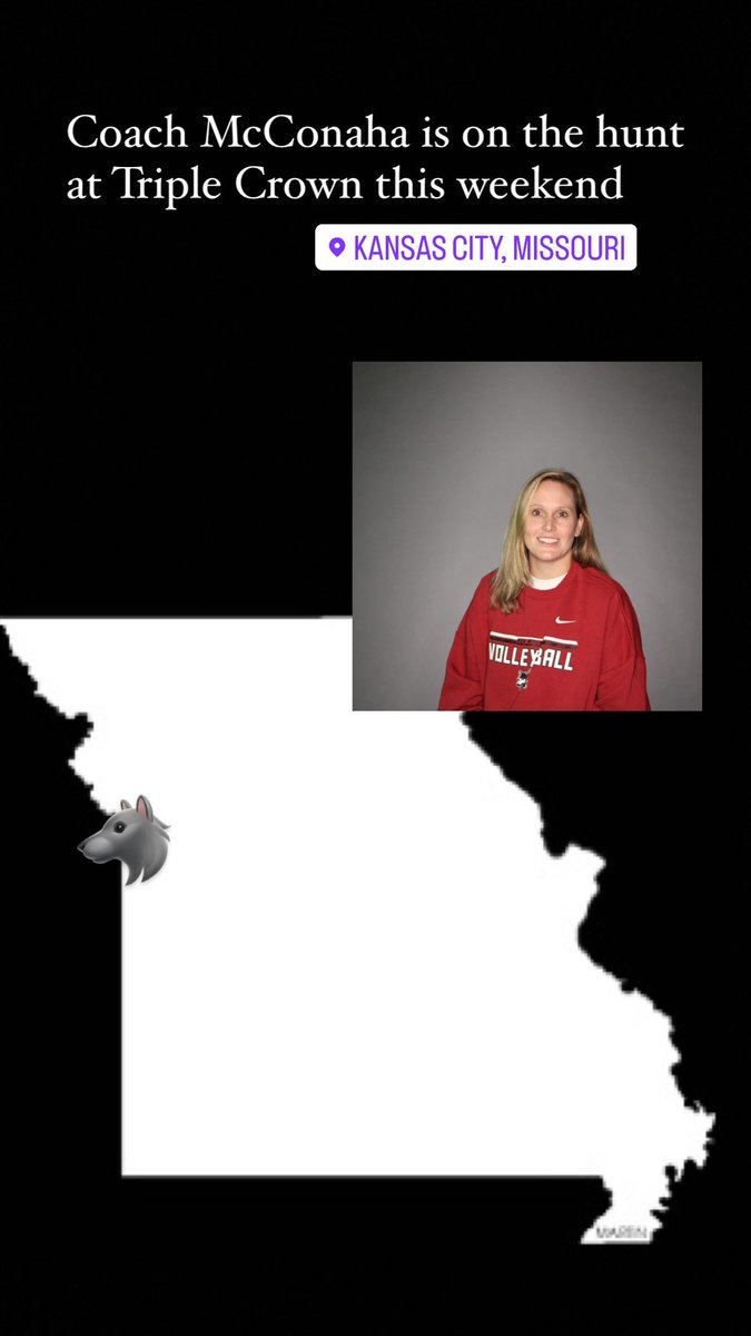 IUERedWolvesVB tweet media