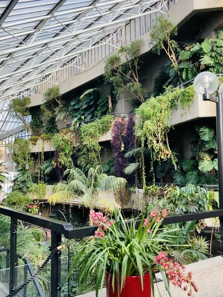 Lily Hunter Green (@lhhg1990) on Twitter photo excited to be co-curating a public programme for <a href="/BarbicanCentre/">Barbican Centre</a> with my collective ODO as part of project SUPERORGANISM 19/03 in the Conservatory.
This involves workshops/public programme that considers what we can learn from nature’s success of the superorganism.More soon! 🐜🐝 excited to be co-curating a public programme for <a href="/BarbicanCentre/">Barbican Centre</a> with my collective ODO as part of project SUPERORGANISM 19/03 in the Conservatory.
This involves workshops/public programme that considers what we can learn from nature’s success of the superorganism.More soon! 🐜🐝
