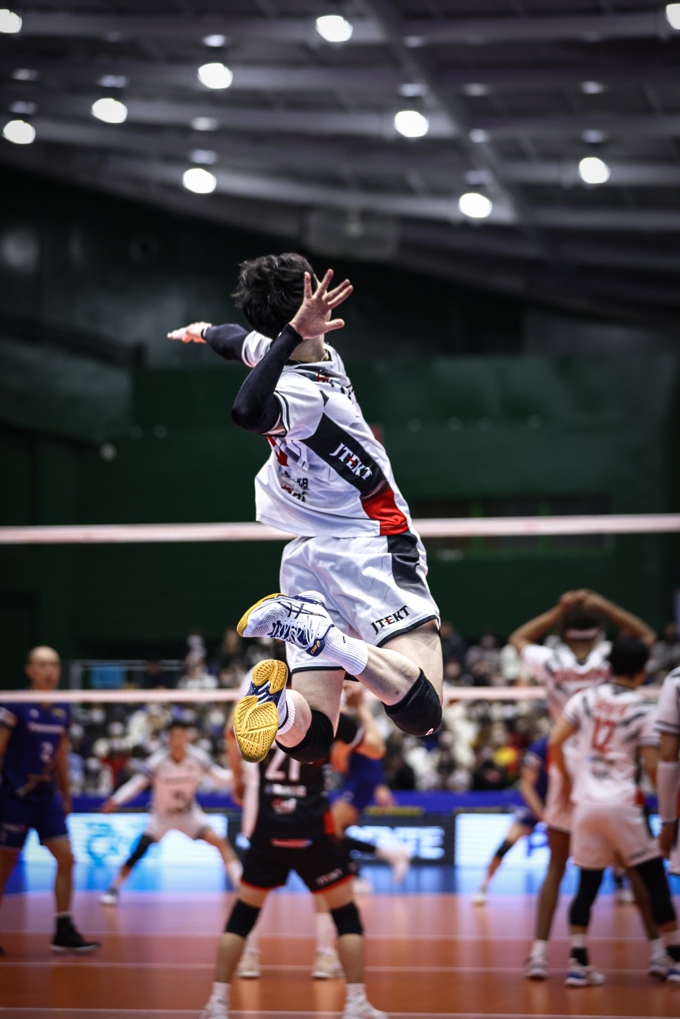 プロバレーボール選手 柳田将洋オフィシャルファンクラブ 限定
