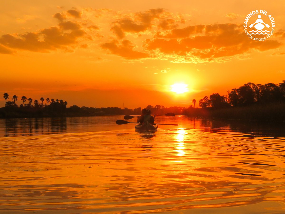 CaminosdelaguaU's tweet image. Atardeceres mágicos en el Oeste de Montevideo. 🌅🧡🚣‍♀️🚣‍♂️🚣‍♀️🚣‍♂️🚣‍♀️🚣‍♂️🌾

Déjate sorprender y disfruta de un entorno natural y único en los Humedales del Santa Lucía. 🌾 

 #OestedeMontevideo #MontevideomasVerde #Paseos #Canoas #RíoSantaLucía #MinisteriodeTurismoUruguay #Turismo