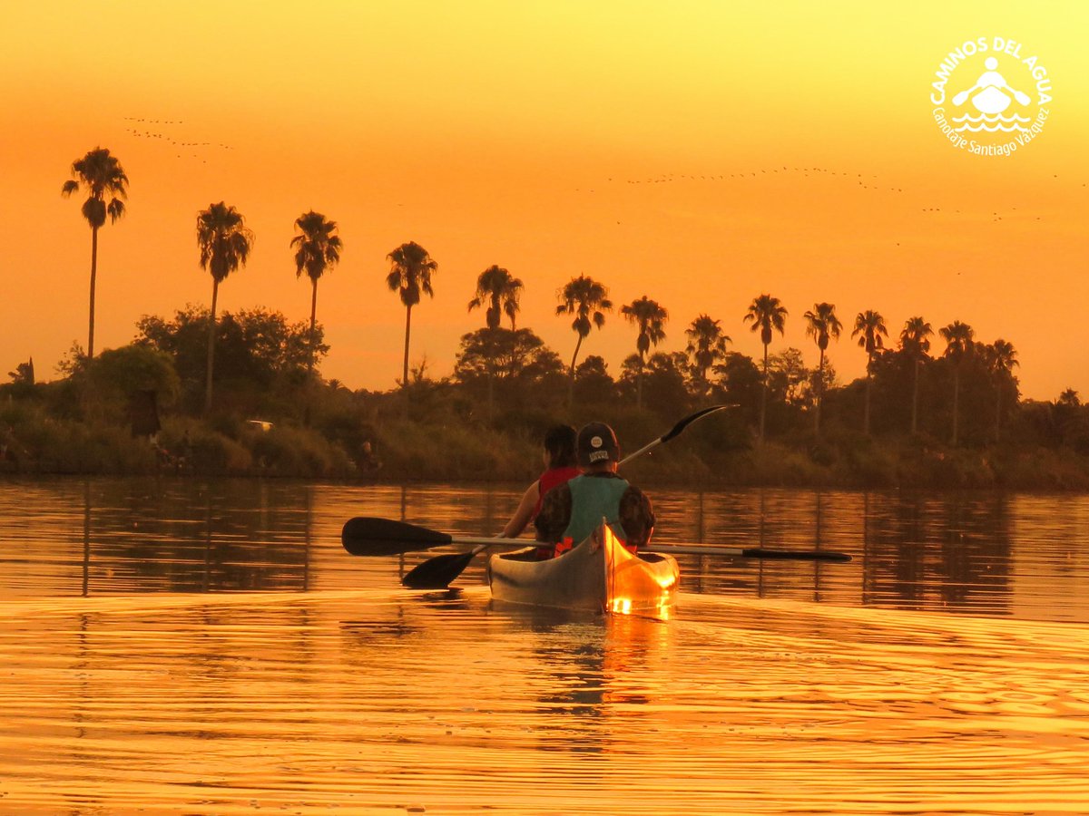 CaminosdelaguaU's tweet image. Atardeceres mágicos en el Oeste de Montevideo. 🌅🧡🚣‍♀️🚣‍♂️🚣‍♀️🚣‍♂️🚣‍♀️🚣‍♂️🌾

Déjate sorprender y disfruta de un entorno natural y único en los Humedales del Santa Lucía. 🌾 

 #OestedeMontevideo #MontevideomasVerde #Paseos #Canoas #RíoSantaLucía #MinisteriodeTurismoUruguay #Turismo