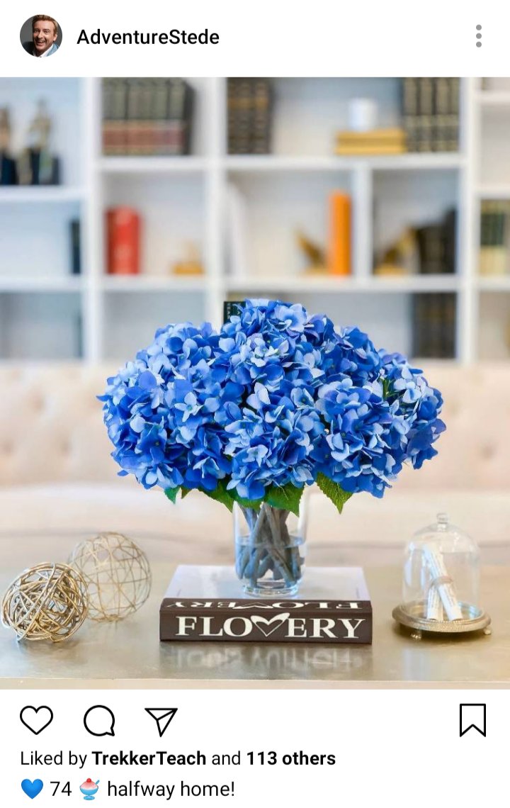 Stede's IG. Photo of hydrangeas on a coffee table. Caption reads 💙74🍧 halfway home! 