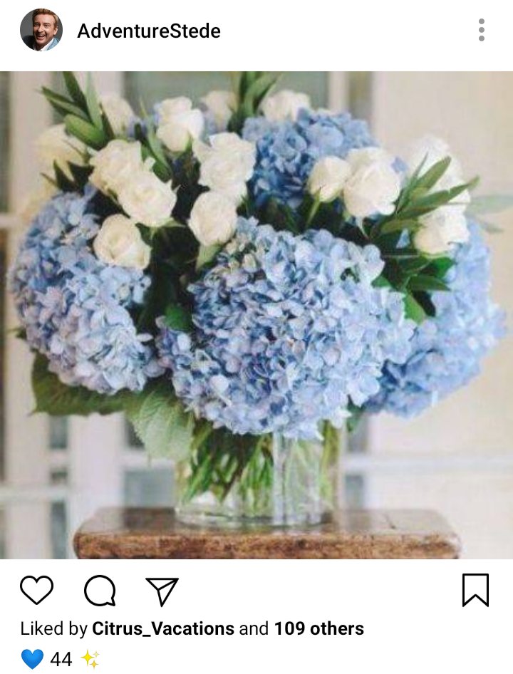 Stede's IG. Photo of hydrangeas bouquet. Caption reads 💙44✨