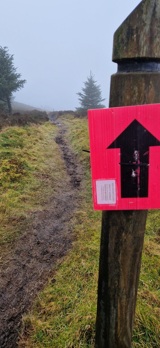 Northcol75's tweet photo. Visibility.... mixed.
@HiTerrainevents #trailrunning
#glentress https://t.co/PNsL47PJCT