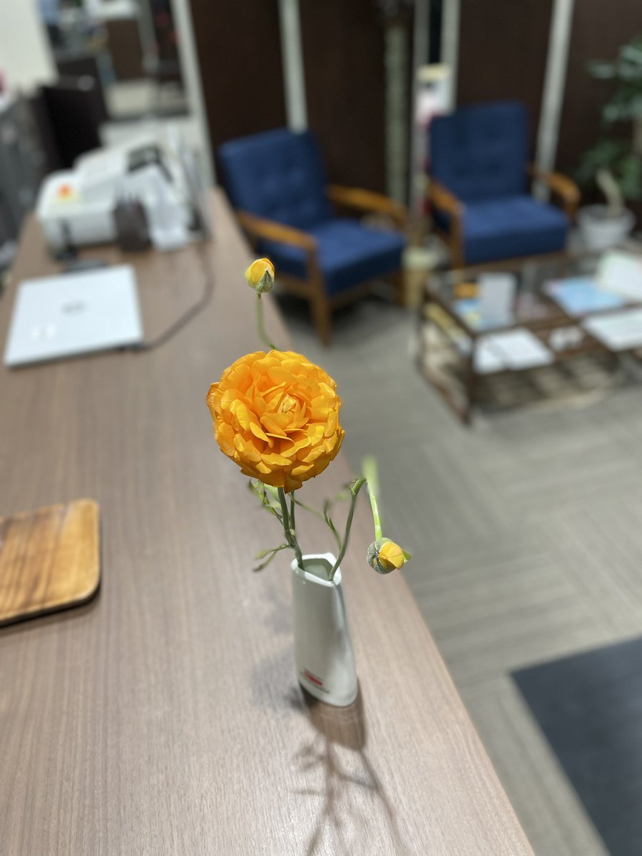 FREYJA_diet's tweet photo. ハナキンポウゲをいただきました。
花言葉は
晴れやかな魅力‼️
キレイなお花ですね〜
#FREYJA
#パーソナル
#ダイエット
#ハナキンポウゲ
#花 https://t.co/b6U3HEiJfA