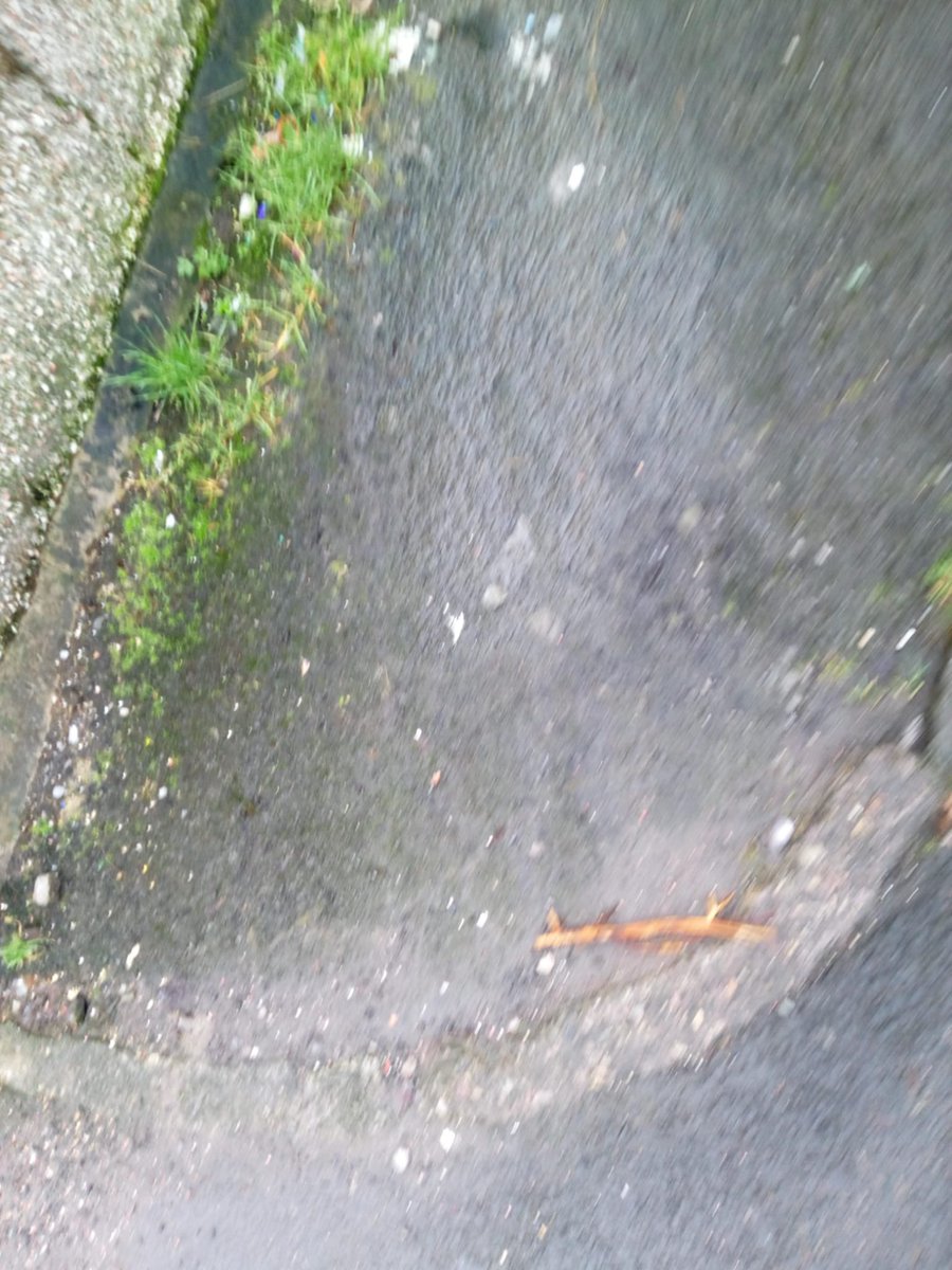 eski123's tweet photo. @RhonddaBryant @AndrewMorganRCT @RCTCouncil this is number 1 Argyle street Cymmer it has been reported to the council but no action as of yet but the smell is very unpleasant and the excrement is running out onto the street as well were children play https://t.co/Aw6nTj39dF