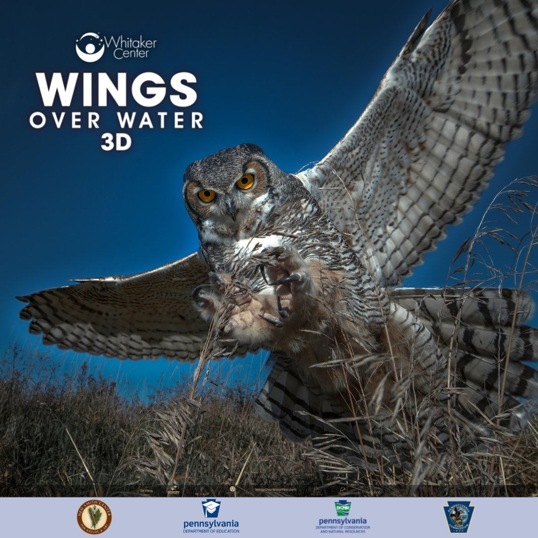 whitakercenter's tweet image. Wings Over Water is playing today and tomorrow at 10 am, Noon and 2 pm. This remarkable documentary mixes high-impact videography with humor in delivering an important environmental message. Get your tickets at whitakercenter.org/events/detail/…

#WingsOverWater #ExploreHBG #ExplorePA