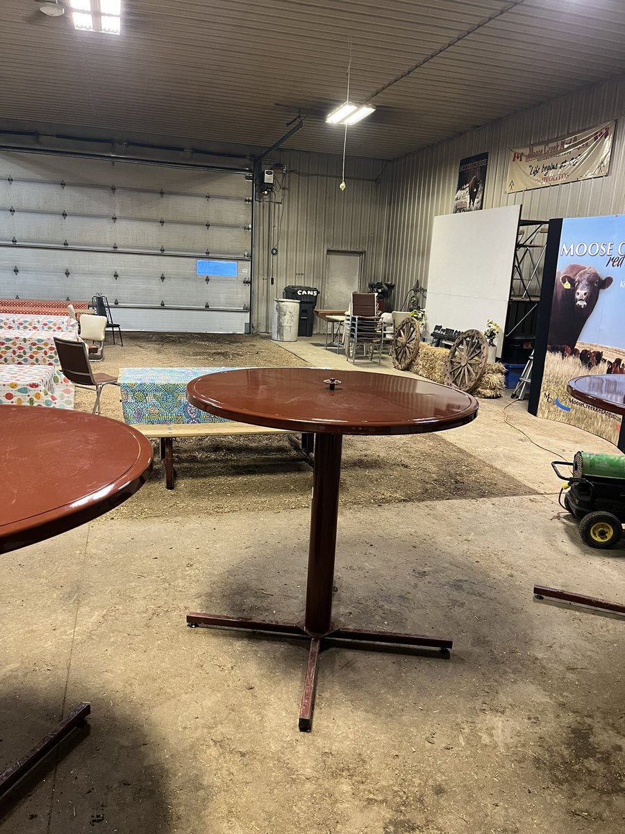 oldipp's tweet photo. We’re ready for sale day today. 1:30pm. Please join us in person or online through @DirectLivestock #RedAngus #RedSimmAngus #beefbulls https://t.co/GdNpEyJTuN