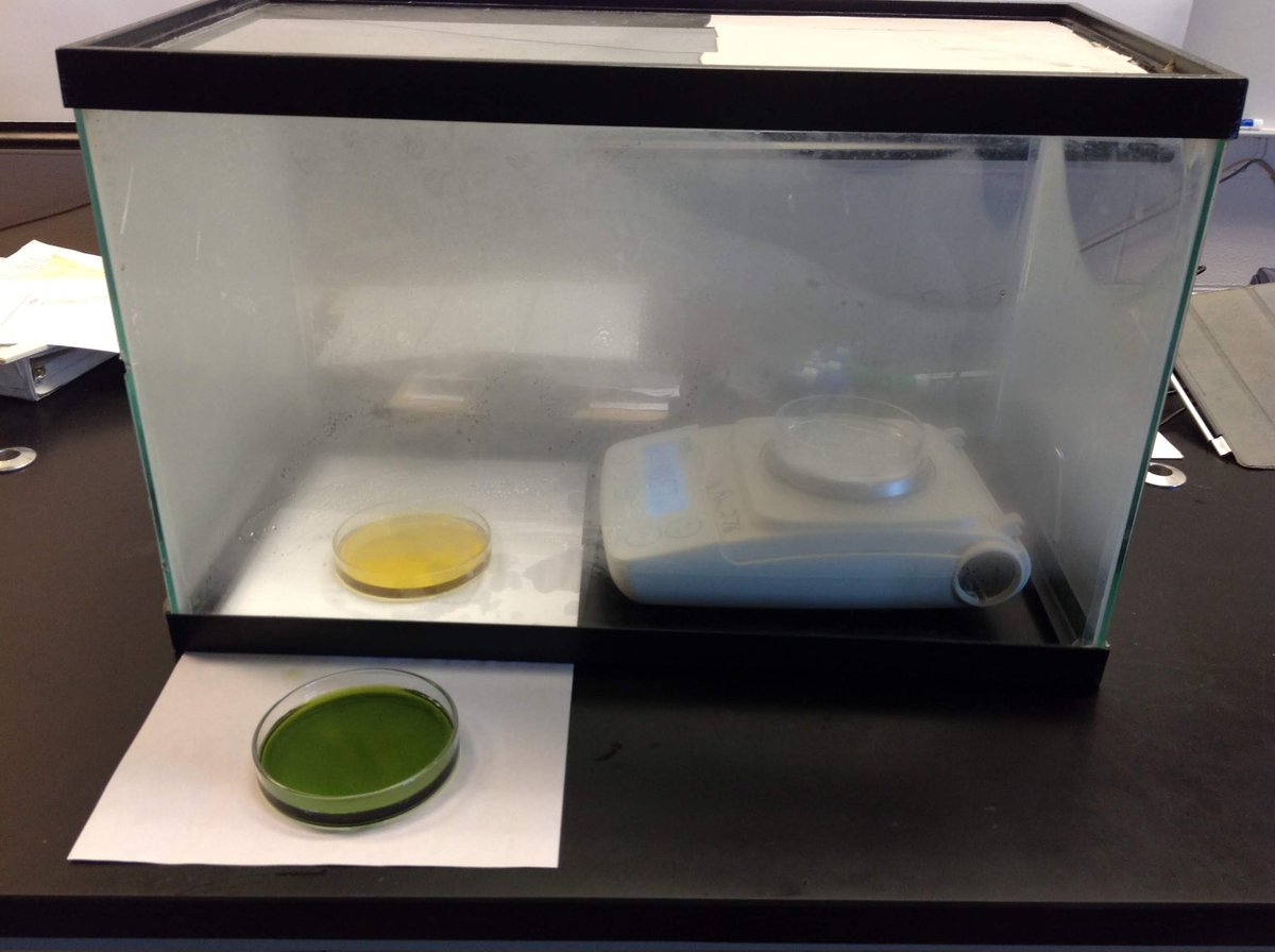 sciencebridle's tweet photo. @AnjanaIyer @inquiry_hub Love this demo! Try it in an old fish tank and you can place the ethanol on an electronic balance. https://t.co/qebPyvAdzX
