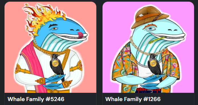 Albert_TheVoid's tweet photo. Just got two Early Crow Whales from @WhaleFamNFT and two Hidden Avatars from the @HiddenFishDAO. Enjoy your weekend #crofam! 🎣🐳 #cronoschain #cryptocom #cro https://t.co/MD8QQj3TGa