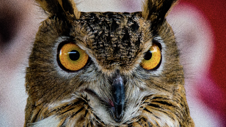 Be proud of hoooo you are!