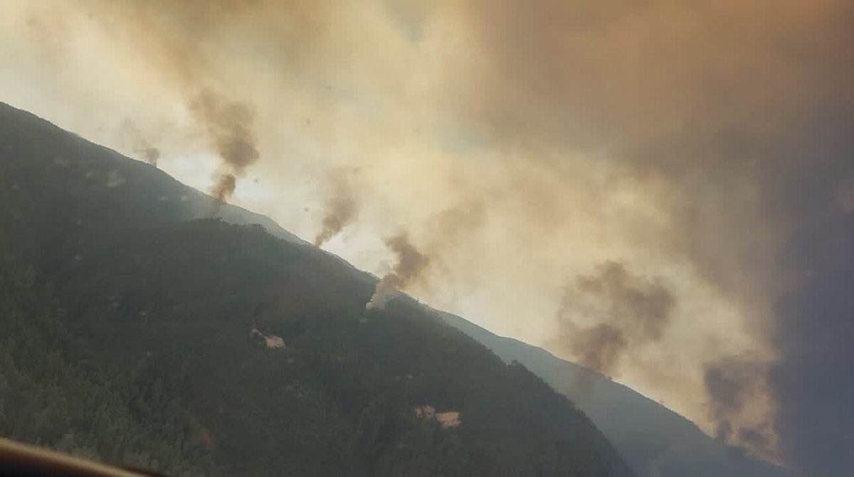 La intencionalidad de los incendios es una hipótesis basada en variables como la oportunidad y distribución de los focos iniciales de fuego. Es el caso del incendio en Coronel (múltiples focos lineales). Argumentos ecológicos o de OT siempre estarán condicionados x esta realidad.
