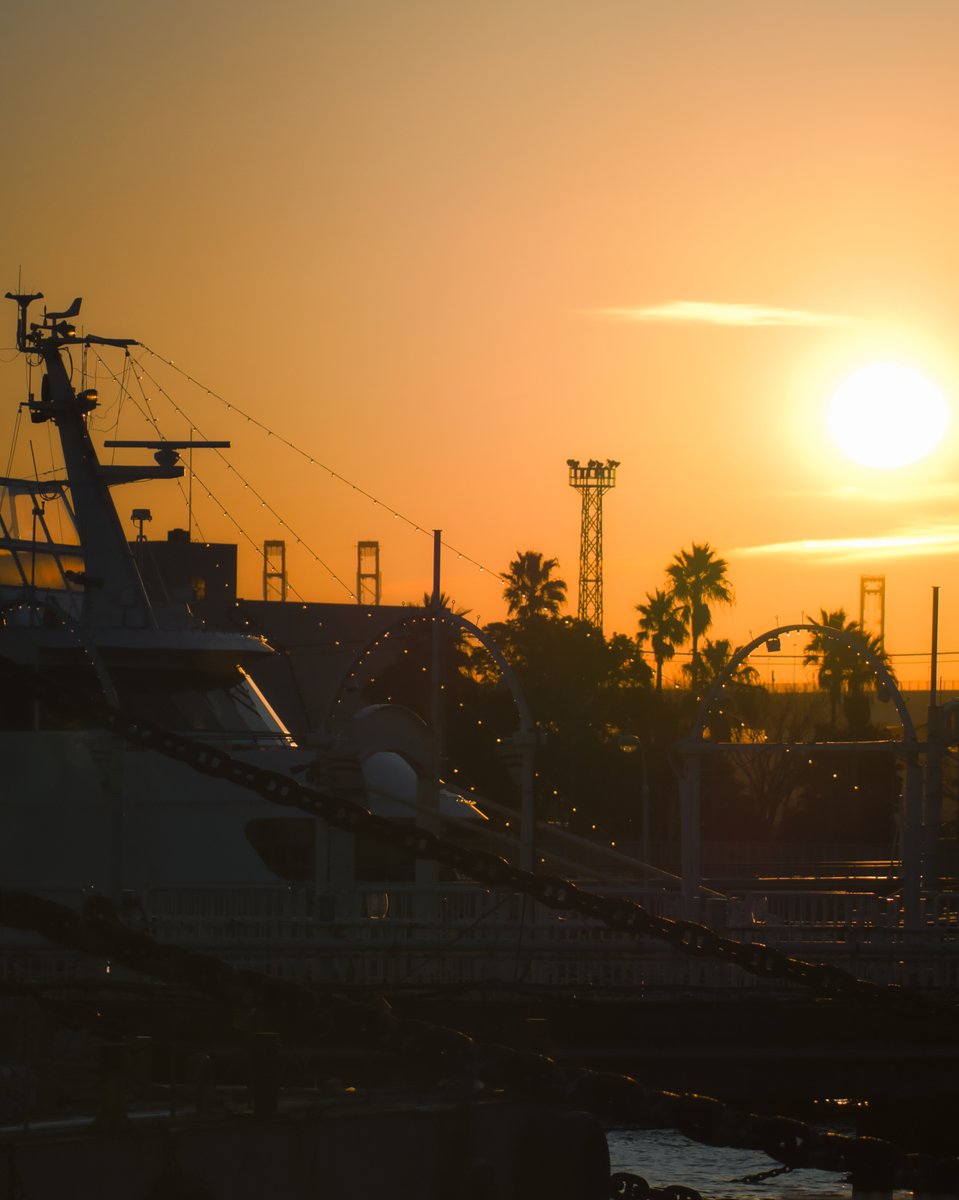 最高の一日のはじまり

#みなとみらい 　#写真好きな人と繋がりたい 　#写真撮ってる人と繋がりたい #写真で伝える私の世界 #photo_jpn　#photo_shorttrip #japan_of_insta #japan_daytime_view #otonatabi_japan  #japan_right_now #japan_photogroup #ritrip_nippon
#東京カメラ部 #tokyocameraclub