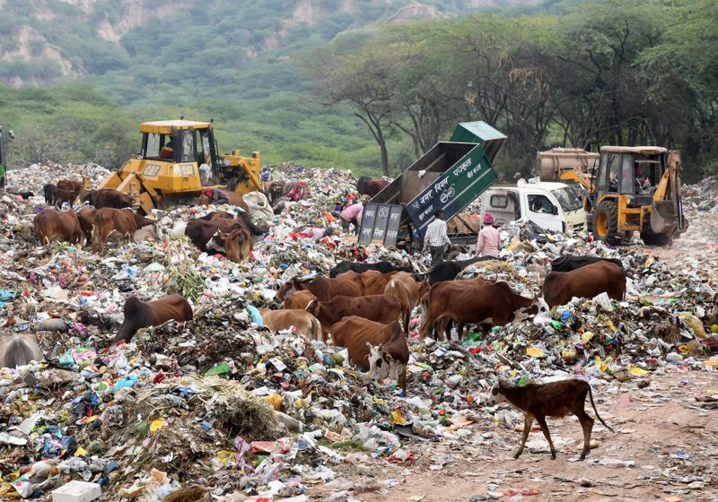 SunjayJK's tweet photo. @sbabones Here:
(where #NewIndia keeps her #HolyCows, milch (to "feed") & those abandoned post-milch, & most All Bulls, while doing #India weakening & shaming #HatePolitics in their name, even #Lynching (incl by #MonuManeshar~s 🧟🧟)
Now, Go to your #aDani funded handlers,& demand $20/post https://t.co/oYob8uO8bS