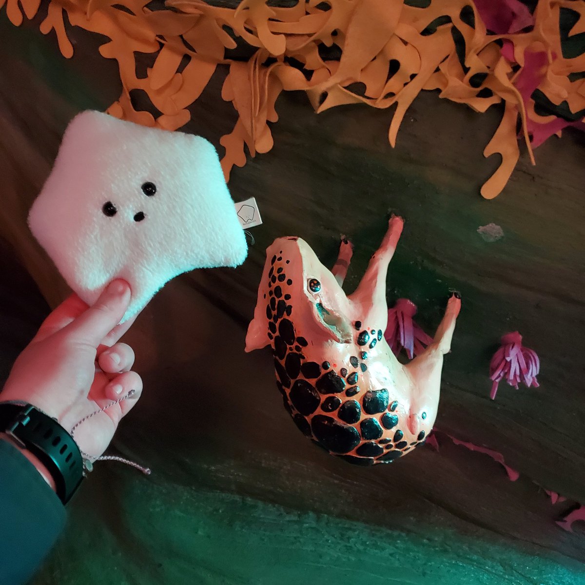 sucklet7's tweet photo. i met a new kind of creature. he was nice.
#sucklet. #creaturelet. https://t.co/VgGsv9aap2