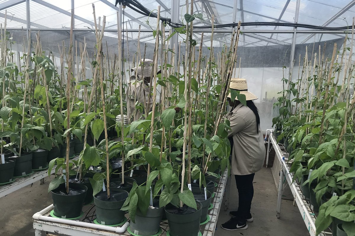 Earlham Institute tweet media