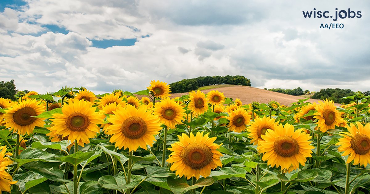 wiscjobs's tweet image. #Hiring a #SectionManager in the Agrichemical Mgmt Bureau’s Investigation &amp;amp; Compliance unit to administer Dept groundwater, pesticide registration &amp;amp; use enforcement progs. $87-$97K/yr +benefits. Apply by 2/22. #WIjobs #govjobs #PolicyJobs ow.ly/9afB50MVFhy