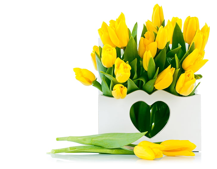 CafeEngene's tweet photo. to :: @sungjaygf 
from :: anon 

Hi ate ibes! Happy Valentines Day. I hope you receive my message ate. Take care always!! https://t.co/35U36SZa5S
