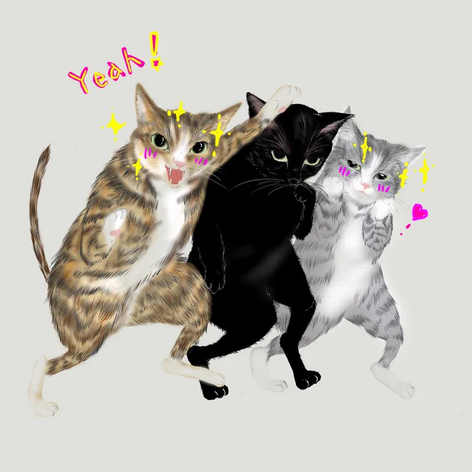 このノリはちょっと… #イラスト #猫