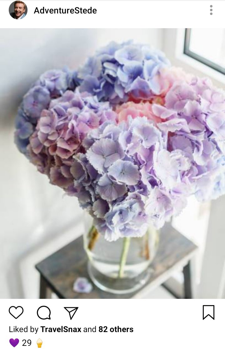 Stede's IG. Photo of hydrangeas in a vase. Caption reads "💜29🍦" 