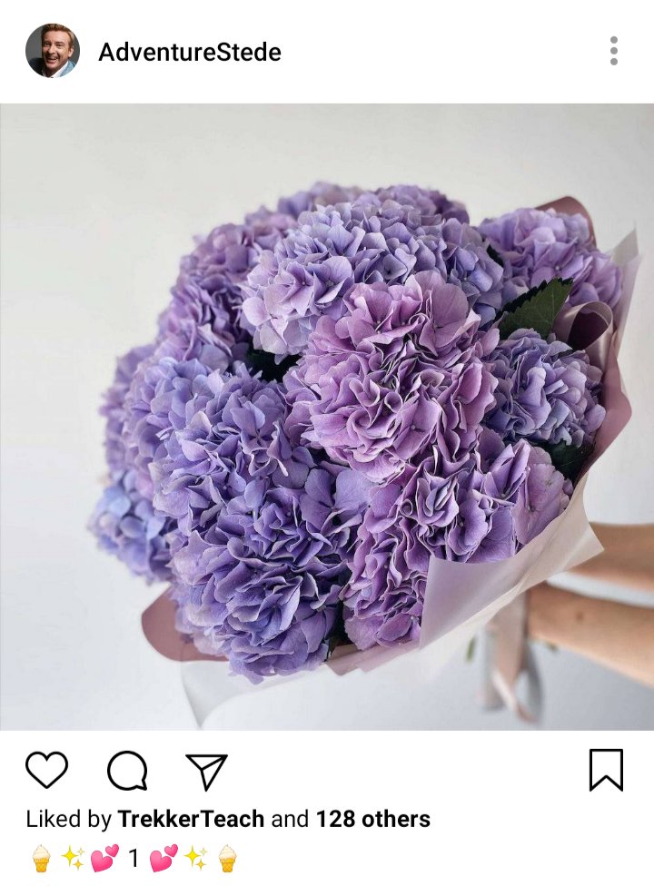Stede's IG. Photo of huge hydrangeas bouquet. Caption reads "🍦✨💕1 💞✨🍦" 