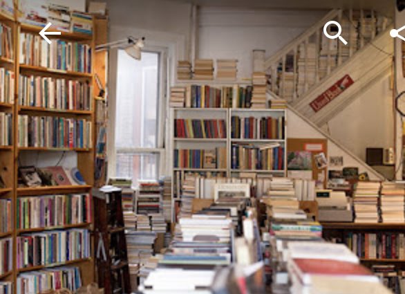 Cindy Schwind tweet media